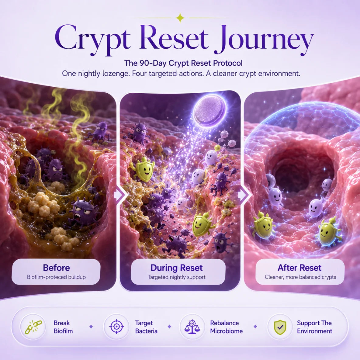 CryptReset+ slide 4